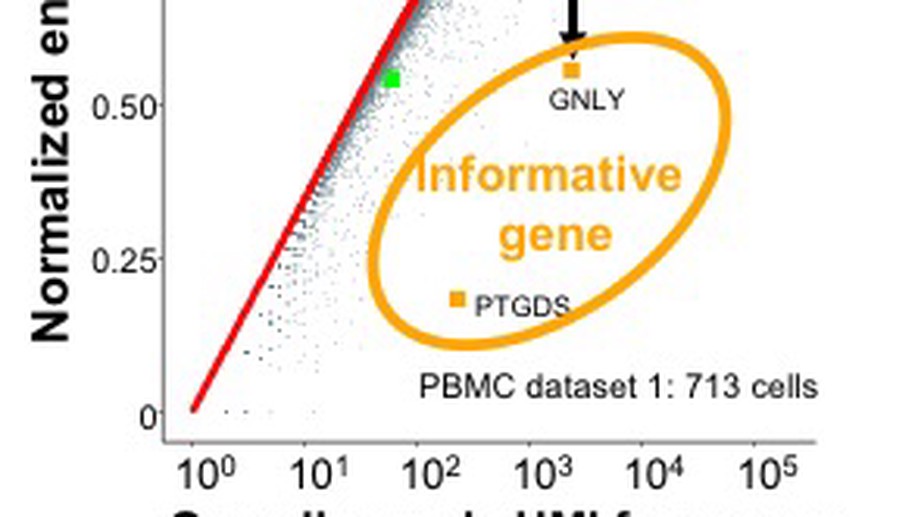 Information-theory-based benchmarking and feature selection algorithm improve cell type annotation and reproducibility of single cell RNA-seq data analysis pipelines